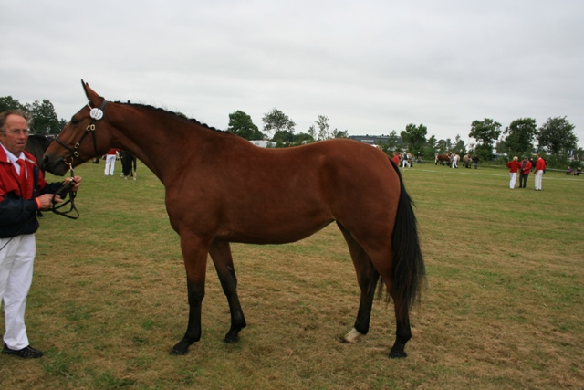 Ktl. 80, Halkjærs Regitze 208333OL0902925 - 22 p. - tilh. Svend Erik Olesen, Ørnhøj
